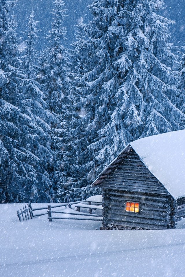Обои деревья, снег, лес, зима, пейзаж, дом, изба, trees, snow, forest, winter, landscape, house, hut разрешение 2880x1800 Загрузить