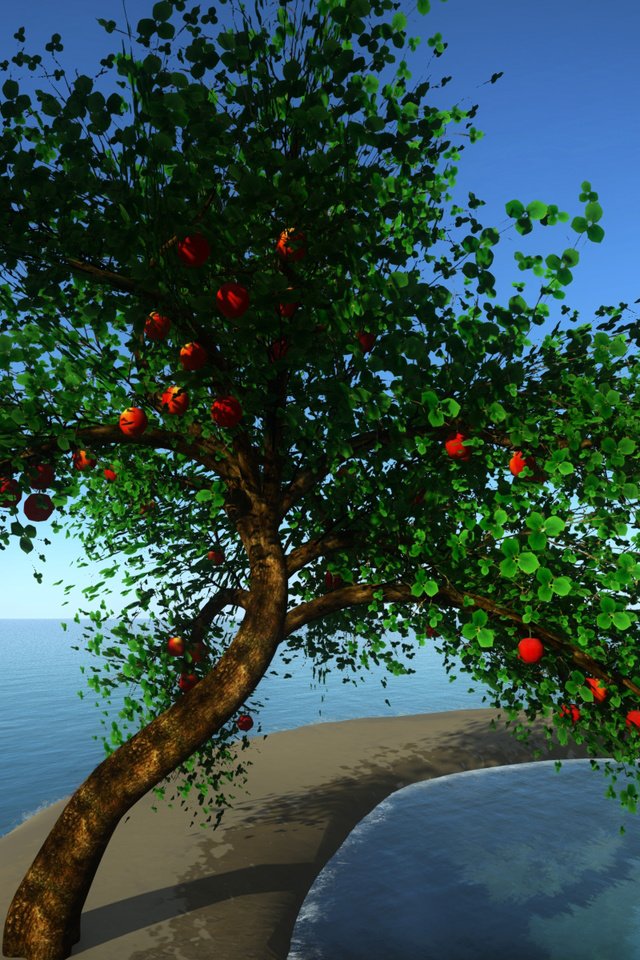 Обои небо, дерево, листья, море, коса, плоды, коллаж, the sky, tree, leaves, sea, braid, fruit, collage разрешение 1920x1200 Загрузить