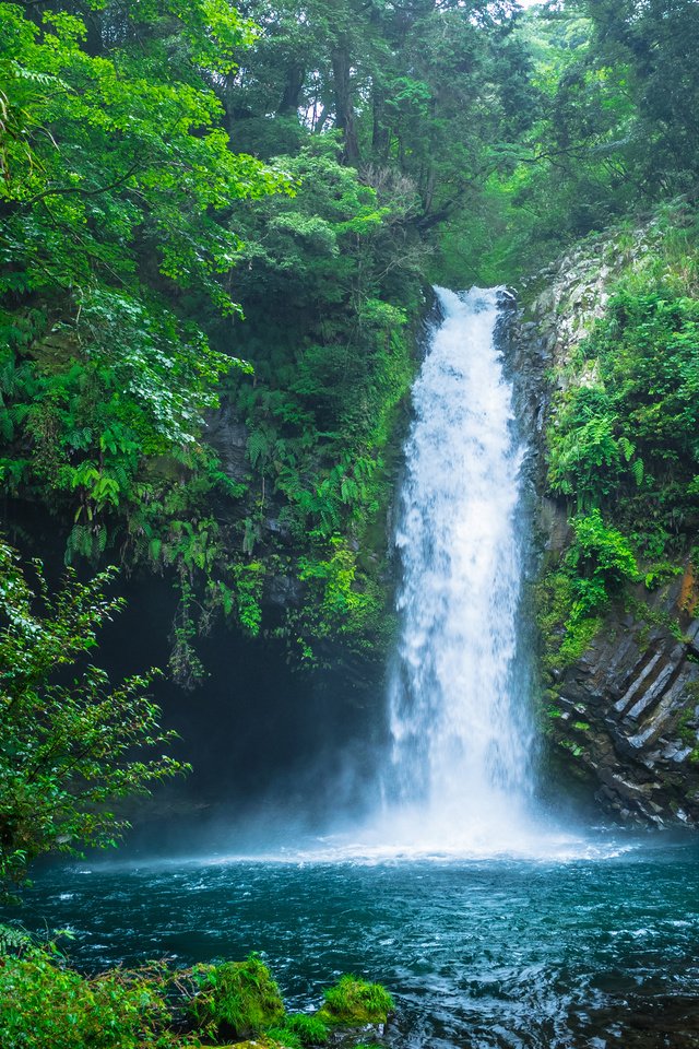 Обои природа, лес, водопад, япония, nature, forest, waterfall, japan разрешение 3840x2400 Загрузить