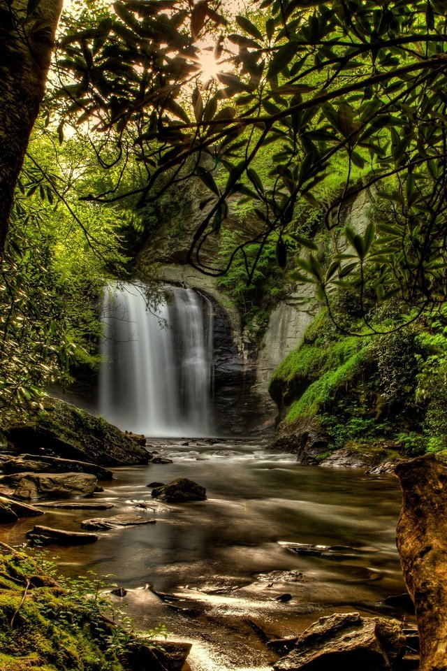 Обои деревья, сша, солнце, мох, камни, pisgah national forest, лес, ручей, ветки, водопад, обработка, trees, usa, the sun, moss, stones, forest, stream, branches, waterfall, treatment разрешение 2880x1920 Загрузить