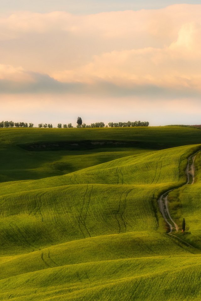 Обои небо, дорога, холмы, поле, the sky, road, hills, field разрешение 2560x1707 Загрузить