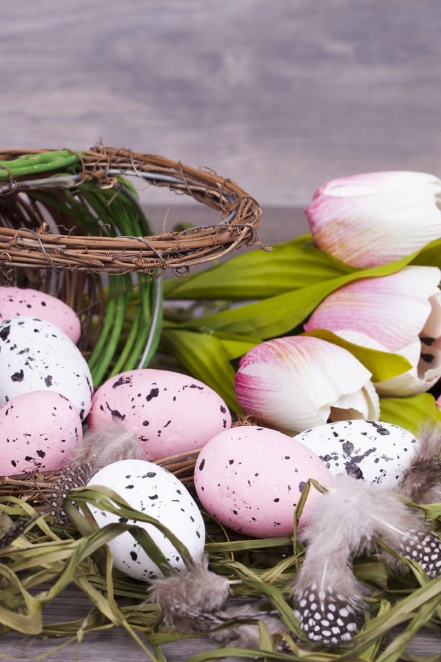 Обои цветы, тюльпаны, пасха, корзинка, яйца крашеные, flowers, tulips, easter, basket, the painted eggs разрешение 7020x4680 Загрузить