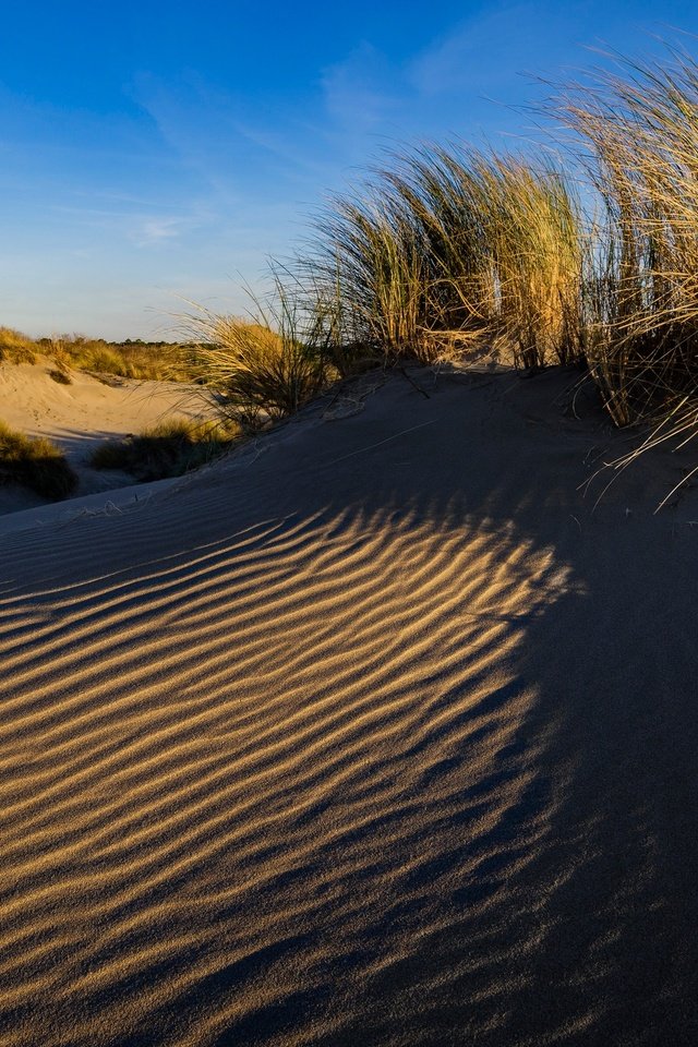 Обои трава, песок, франция, дюны, ле гро-дю-руа, grass, sand, france, dunes, le grau-du-roi разрешение 2048x1367 Загрузить