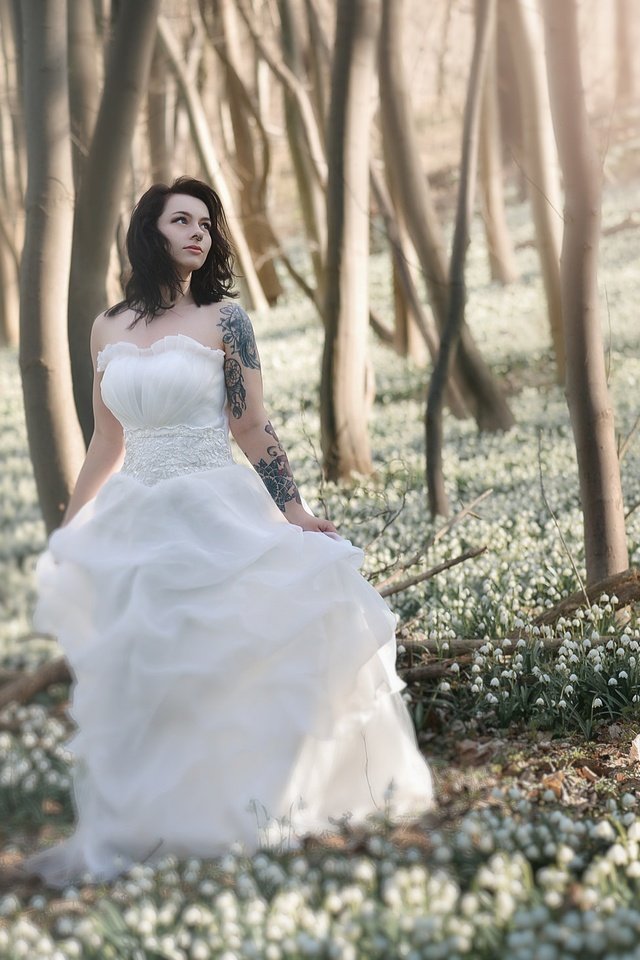 Обои цветы, лес, девушка, платье, брюнетка, тату, невеста, flowers, forest, girl, dress, brunette, tattoo, the bride разрешение 2048x1453 Загрузить