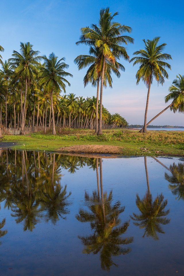 Обои небо, отражение, пейзаж, море, пальмы, пальма, the sky, reflection, landscape, sea, palm trees, palma разрешение 2048x1297 Загрузить