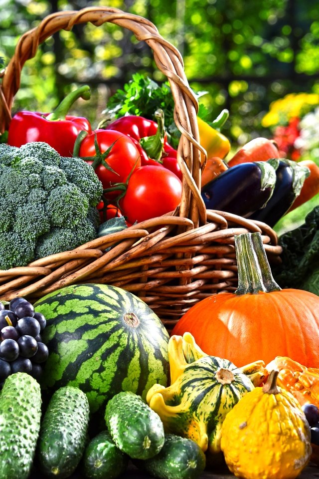 Обои зелень, помидоры, виноград, морковь, фрукты, тыква, яблоки, баклажаны, сад, перец, арбуз, капуста, брокколи, корзина, огурцы, овощи, greens, tomatoes, grapes, carrots, fruit, pumpkin, apples, eggplant, garden, pepper, cabbage, watermelon, broccoli, basket, cucumbers, vegetables разрешение 7360x4912 Загрузить
