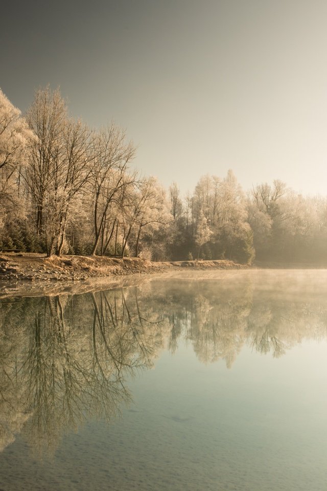 Обои деревья, озеро, лес, зима, туман, trees, lake, forest, winter, fog разрешение 2560x1613 Загрузить