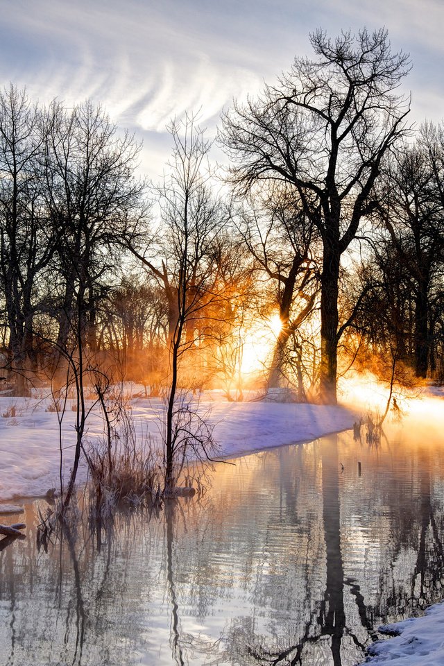 Обои деревья, река, закат, зима, пейзаж, trees, river, sunset, winter, landscape разрешение 2048x1365 Загрузить