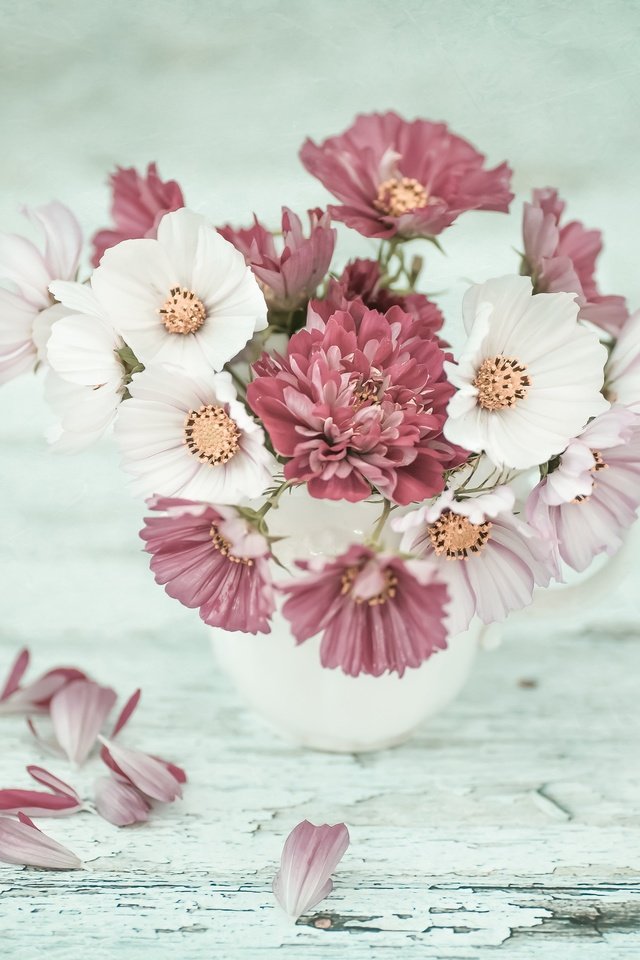 Обои цветы, лепестки, букет, хризантема, космея, flowers, petals, bouquet, chrysanthemum, kosmeya разрешение 2048x2048 Загрузить