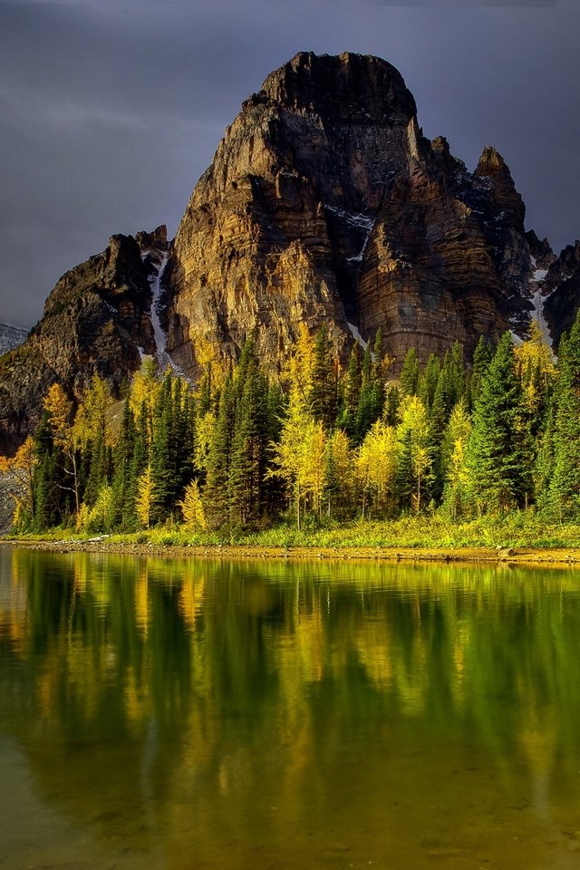 Обои небо, деревья, озеро, горы, лес, отражение, водоем, the sky, trees, lake, mountains, forest, reflection, pond разрешение 2560x1600 Загрузить