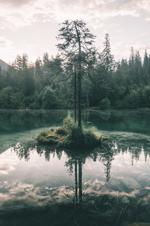 Обои небо, озеро, дерево, лес, отражение, ветки, the sky, lake, tree, forest, reflection, branches разрешение 2048x1365 Загрузить