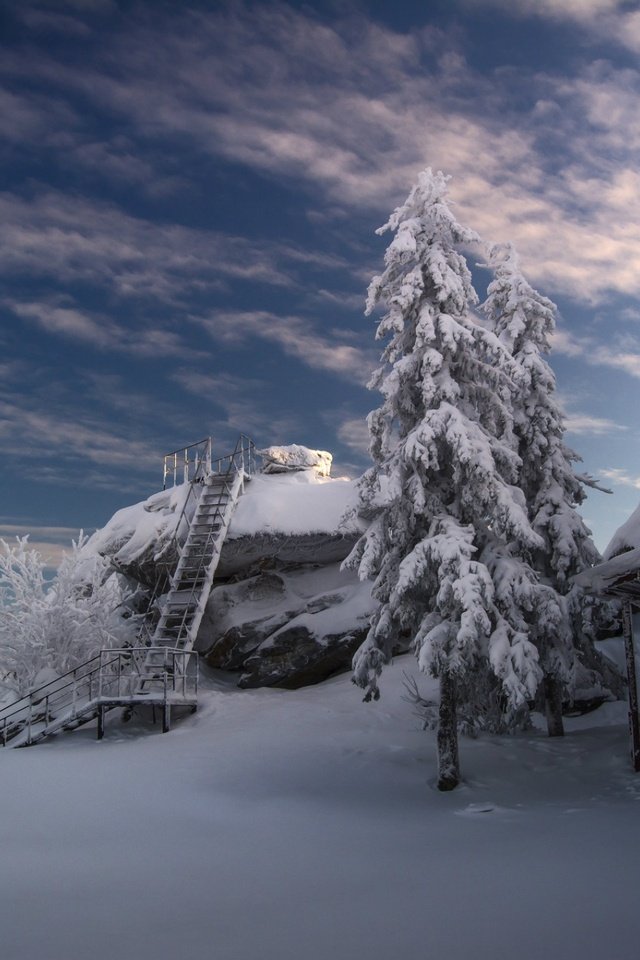 Обои облака, деревья, снег, лестница, зима, холод, clouds, trees, snow, ladder, winter, cold разрешение 1920x1280 Загрузить