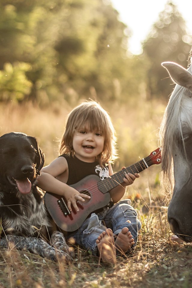 Обои лошадь, природа, гитара, собака, ребенок, мальчик, конь, друзья, agnieszka gulczynska, horse, nature, guitar, dog, child, boy, friends разрешение 3888x2592 Загрузить