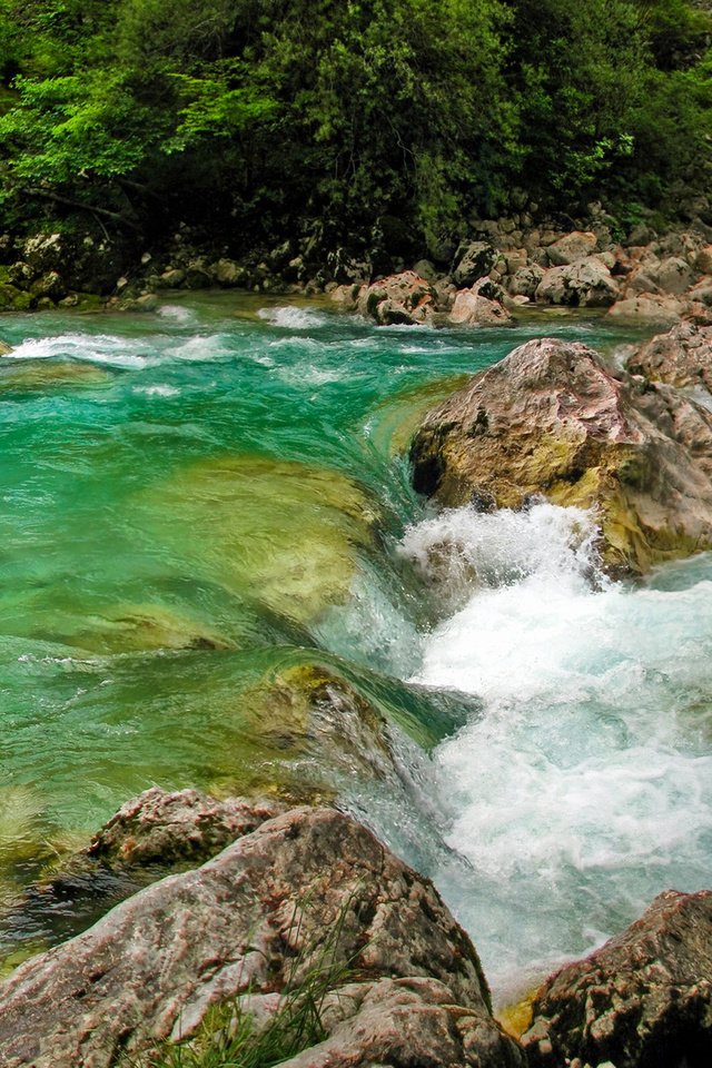 Обои река, камни, пороги, течение, словения, растиьельность, river, stones, thresholds, for, slovenia, rastitelnosti разрешение 2560x1600 Загрузить