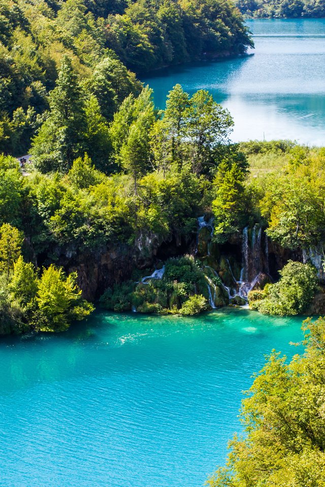 Обои вода, плитвицкие озёра, озеро, туристы, природа, хорватия., лес, леса, озёра, красиво, тропики, хорватия, water, plitvice lakes, lake, tourists, nature, croatia., forest, beautiful, tropics, croatia разрешение 4767x3178 Загрузить