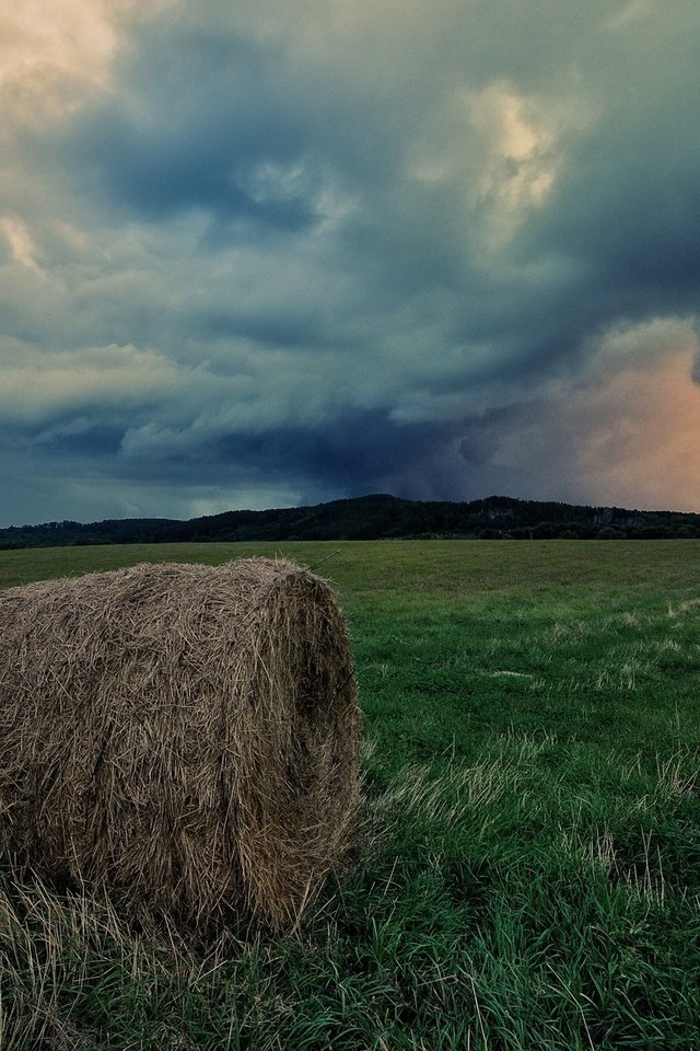 Обои небо, трава, облака, поле, горизонт, сено, тюки, рулоны, the sky, grass, clouds, field, horizon, hay, bales, rolls разрешение 1920x1275 Загрузить