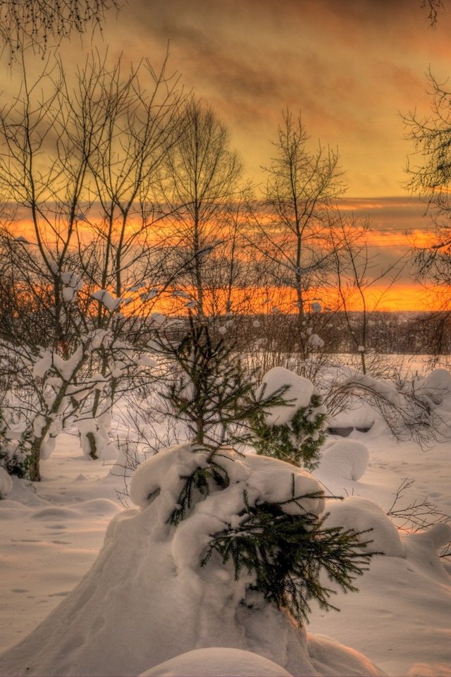 Обои небо, пейзаж, облака, деревья, солнце, снег, природа, закат, зима, the sky, landscape, clouds, trees, the sun, snow, nature, sunset, winter разрешение 1920x1200 Загрузить