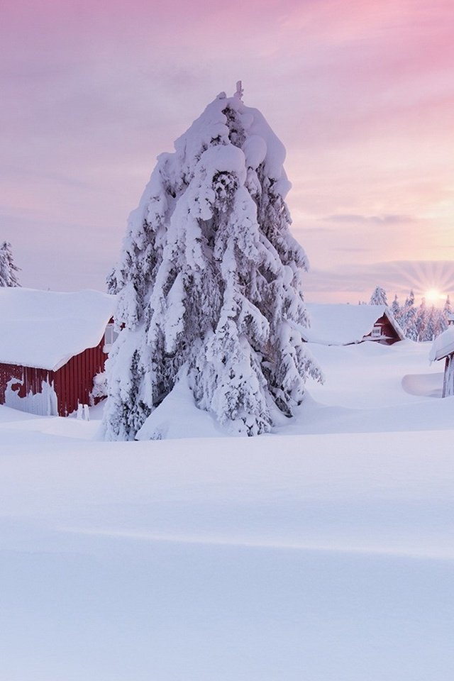 Обои снег, дерево, пейзаж, утро, дома, сугробы, snow, tree, landscape, morning, home, the snow разрешение 1920x1080 Загрузить