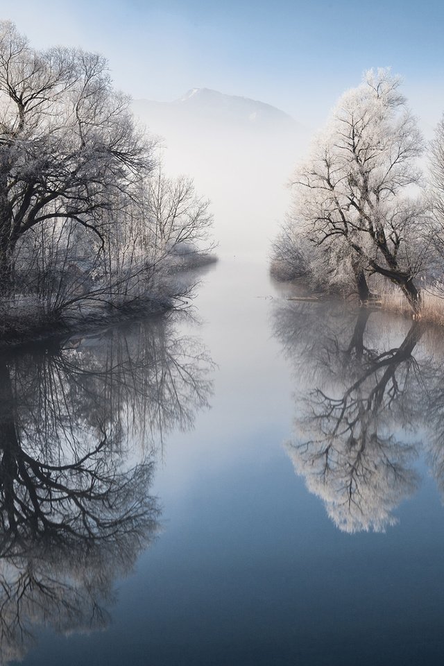 Обои деревья, озеро, природа, зима, отражение, пейзаж, парк, trees, lake, nature, winter, reflection, landscape, park разрешение 1920x1200 Загрузить