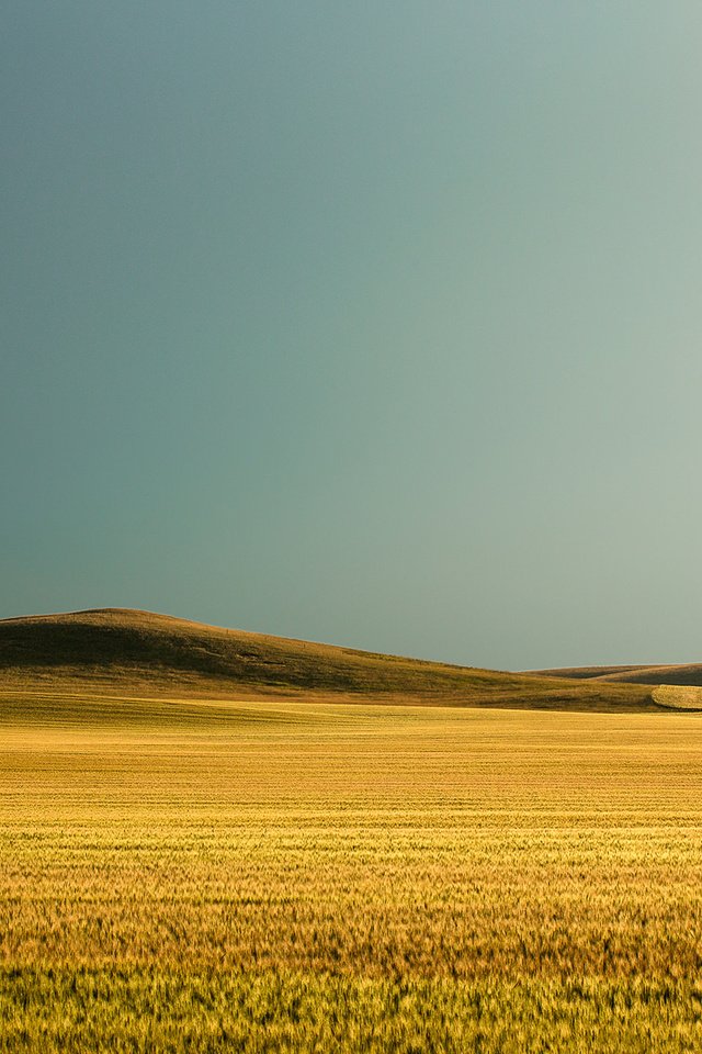 Обои небо, todd klassy, природа, поле, горизонт, сша, пшеница, холм, монтана, the sky, nature, field, horizon, usa, wheat, hill, montana разрешение 2048x1365 Загрузить