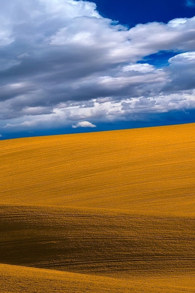 Обои небо, облака, дерево, поле, the sky, clouds, tree, field разрешение 2048x1152 Загрузить