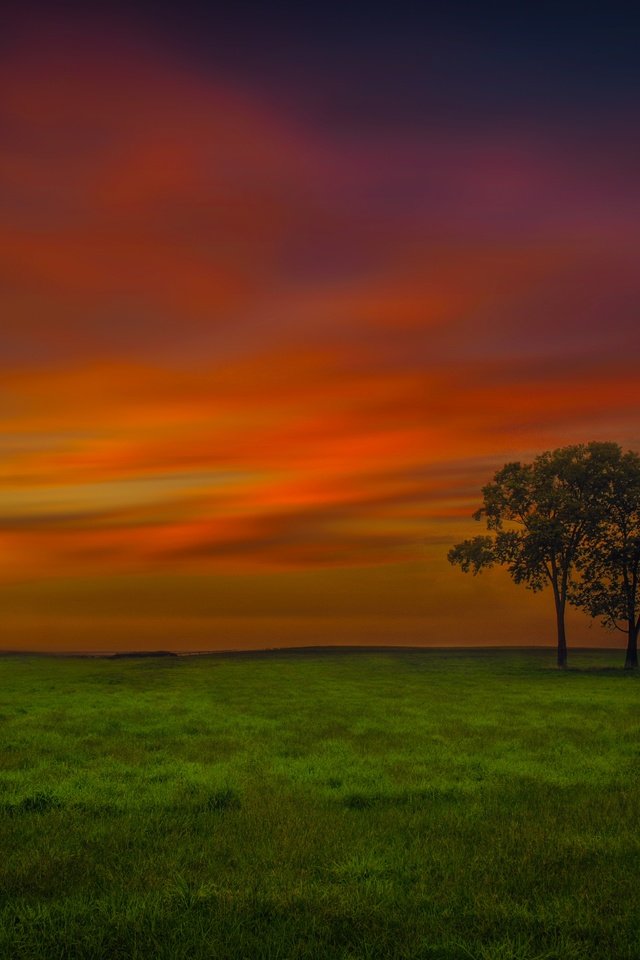 Обои небо, вечер, дерево, поле, the sky, the evening, tree, field разрешение 6452x3888 Загрузить