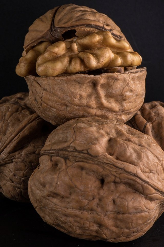 Грецкие орехи похожи на мозги. Орехи макро. Ядро грецкого ореха. Грецкий орех макро. Орехи макро скорлупа.