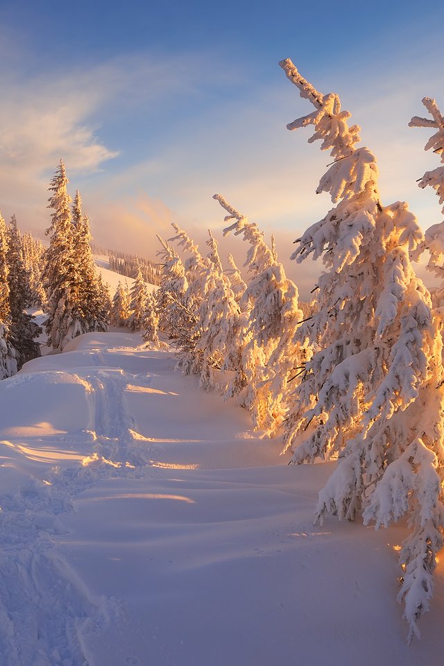 Обои горы, природа, лес, зима, карпаты, mountains, nature, forest, winter, carpathians разрешение 2880x1800 Загрузить