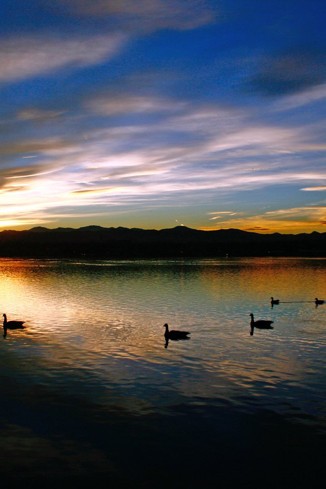 Обои озеро, закат, утки, lake, sunset, duck разрешение 3888x2592 Загрузить