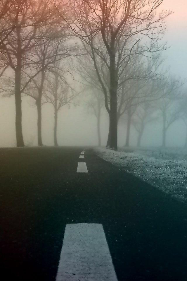 Обои дорога, деревья, природа, туман, road, trees, nature, fog разрешение 3840x2400 Загрузить