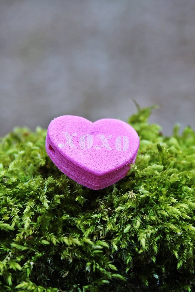Обои надпись, сердечко, сердце, любовь, мох, the inscription, heart, love, moss разрешение 4000x2667 Загрузить