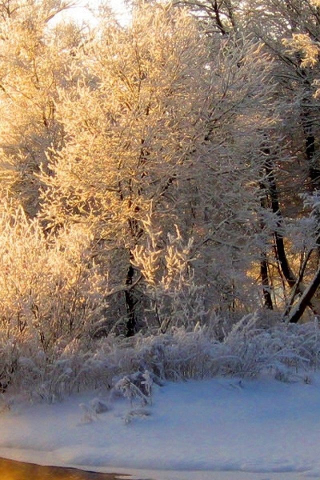 Обои свет, река, лес, зима, отражение, иней, оранжевый, седина, light, river, forest, winter, reflection, frost, orange, gray разрешение 3840x1200 Загрузить