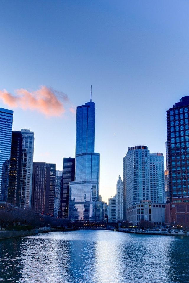 Обои небо, город, небоскребы, сша, здания, небоскрёб, высотки, чикаго, the sky, the city, skyscrapers, usa, building, skyscraper, chicago разрешение 1920x1200 Загрузить