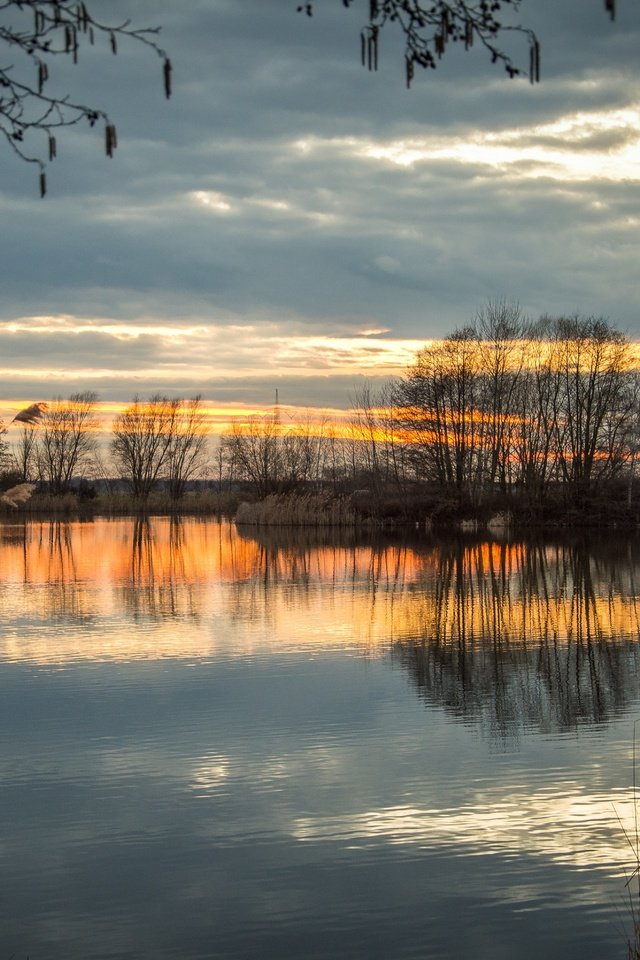 Обои небо, деревья, вечер, река, природа, отражение, осень, the sky, trees, the evening, river, nature, reflection, autumn разрешение 5947x3965 Загрузить