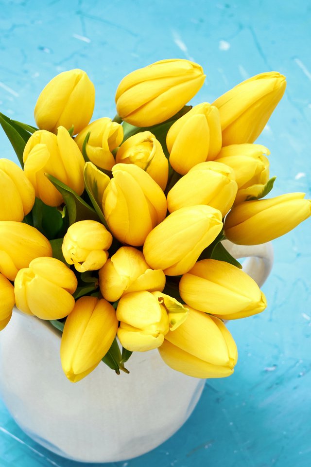 Обои цветы, букет, тюльпаны, желтые, парное, весенние, flowers, bouquet, tulips, yellow, fresh, spring разрешение 2112x1188 Загрузить
