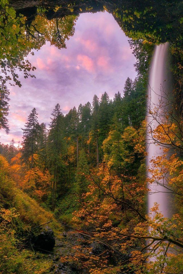 Обои деревья, лес, водопад, осень, орегон, silver falls state park, trees, forest, waterfall, autumn, oregon разрешение 2048x1366 Загрузить