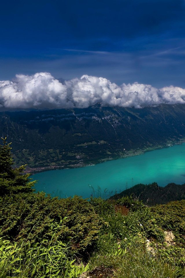 Обои облака, озеро, горы, швейцария, clouds, lake, mountains, switzerland разрешение 3885x2031 Загрузить
