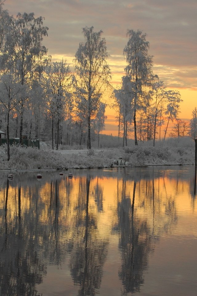 Обои деревья, река, снег, зима, закат солнца, швеция, trees, river, snow, winter, sunset, sweden разрешение 5120x2880 Загрузить