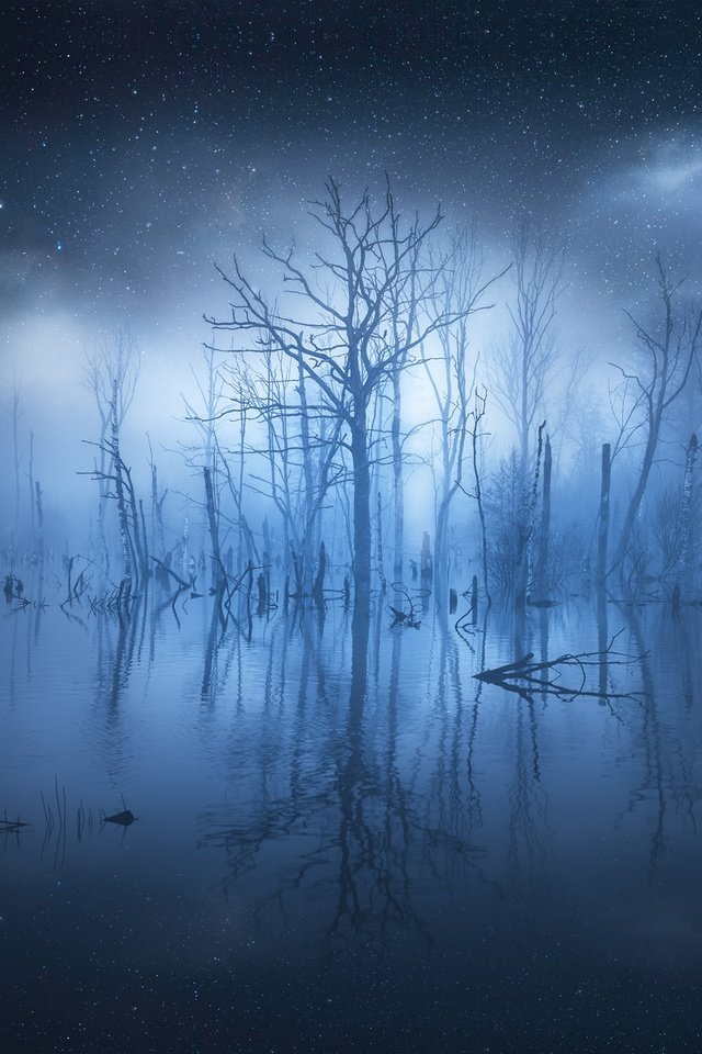 Обои деревья, вода, отражение, звезды, туман, свечение, trees, water, reflection, stars, fog, glow разрешение 2500x1878 Загрузить