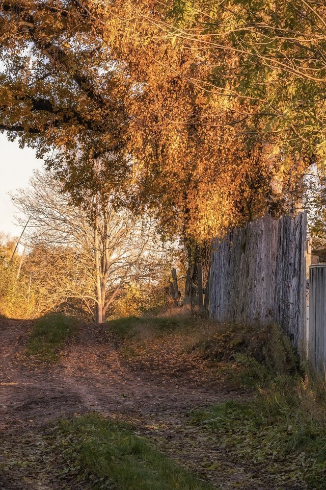 Обои дорога, осень, забор, road, autumn, the fence разрешение 3840x2160 Загрузить