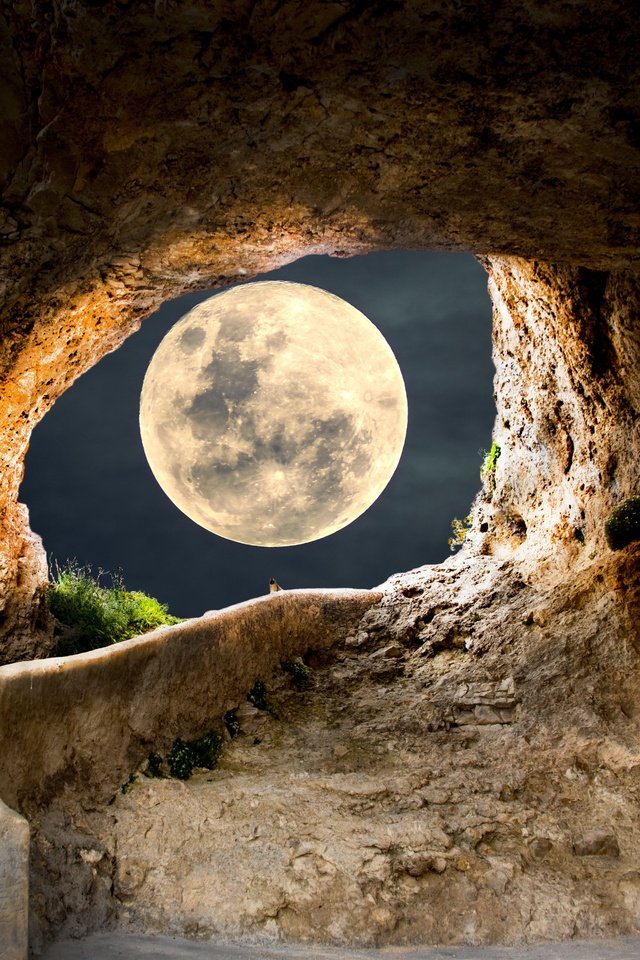 Обои небо, ступени, свет, полнолуние, ночь, лунный свет, скалы, фотоарт, луна, рендеринг, арка, коллаж, the sky, stage, light, the full moon, night, moonlight, rocks, photoart, the moon, rendering, arch, collage разрешение 5616x3744 Загрузить