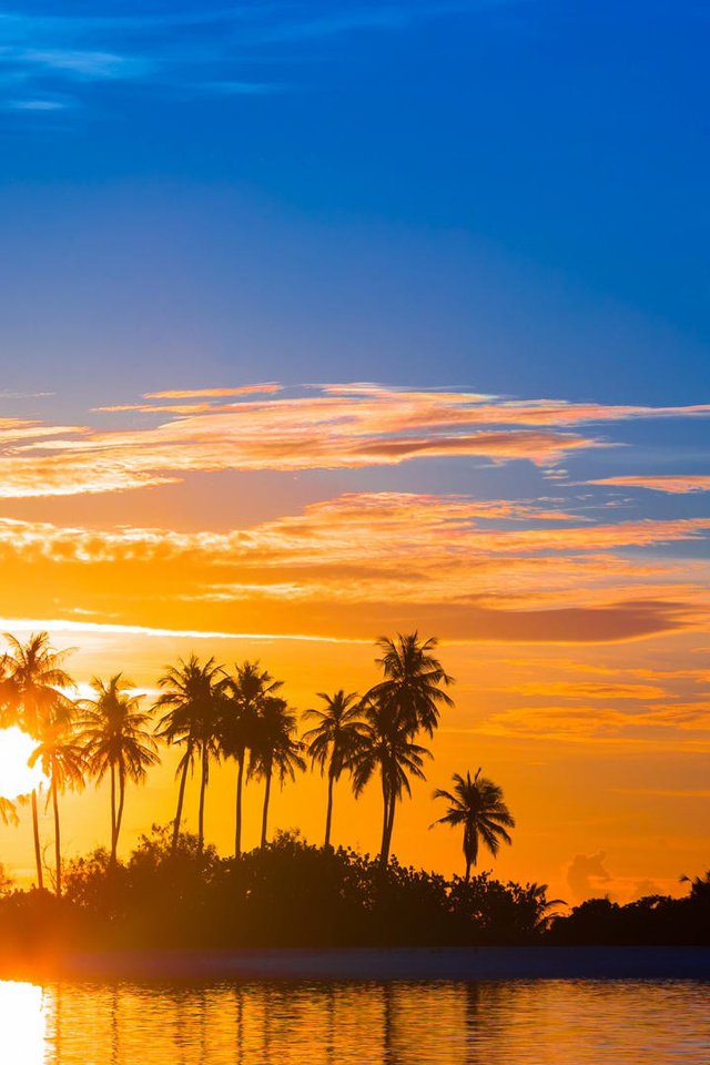 Обои закат, пальмы, тропики, sunset, palm trees, tropics разрешение 1920x1080 Загрузить