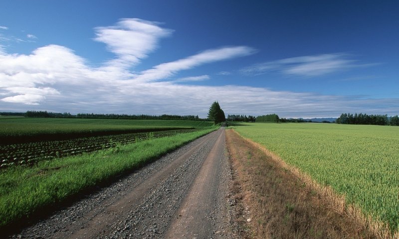 Обои дорога, облака, деревья, поле, road, clouds, trees, field разрешение 1920x1440 Загрузить