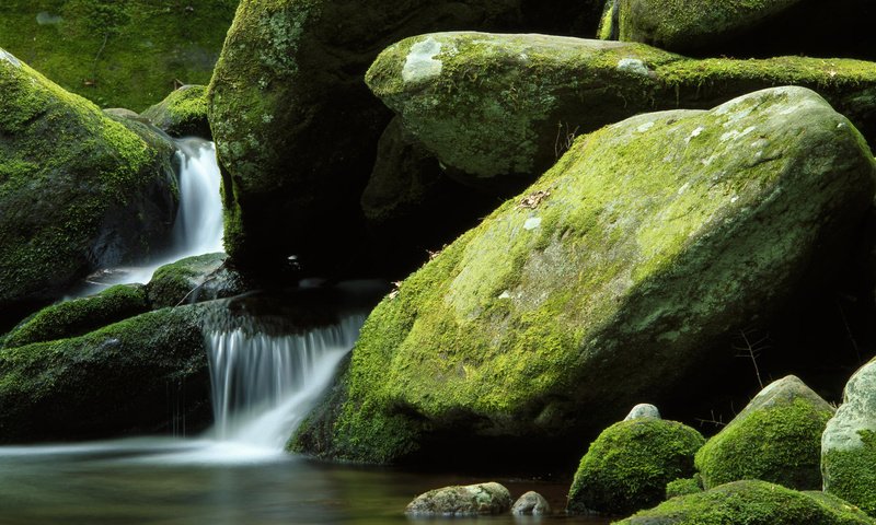 Обои природа, камни, водопад, мох, валуны, nature, stones, waterfall, moss, boulders разрешение 1920x1200 Загрузить