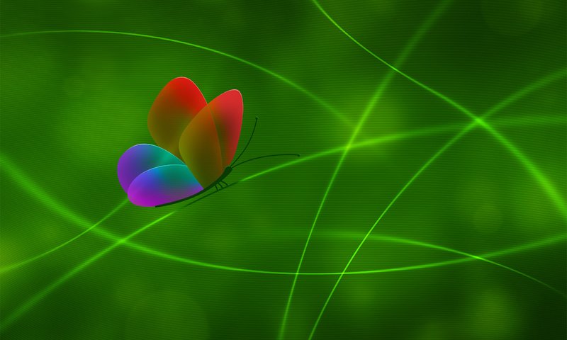 Обои линии, зелёный, цвет, бабочка, line, green, color, butterfly разрешение 2560x1600 Загрузить