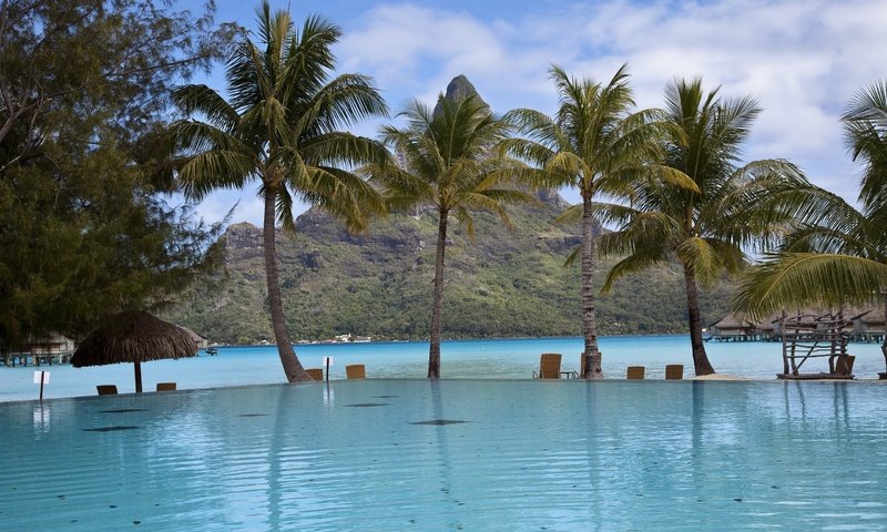 Обои облака, пальмы, бассейн, прибрежье, clouds, palm trees, pool, the coast разрешение 2560x1600 Загрузить