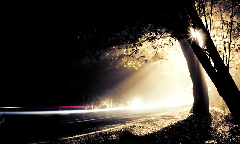Обои свет, дорога, ночь, деревья, light, road, night, trees разрешение 1920x1050 Загрузить