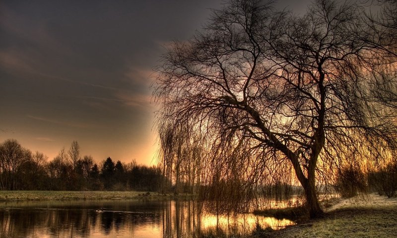 Обои вечер, озеро, река, дерево, осень, hdr, ива, the evening, lake, river, tree, autumn, iva разрешение 2560x1600 Загрузить