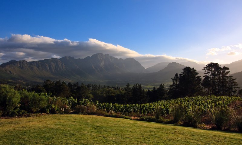 Обои горы, африка, виноградник, mountains, africa, vineyard разрешение 2560x1600 Загрузить