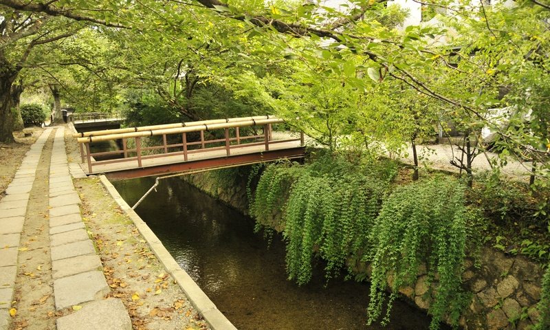 Обои деревья, мост, япония, киото, восток, trees, bridge, japan, kyoto, east разрешение 4656x3092 Загрузить